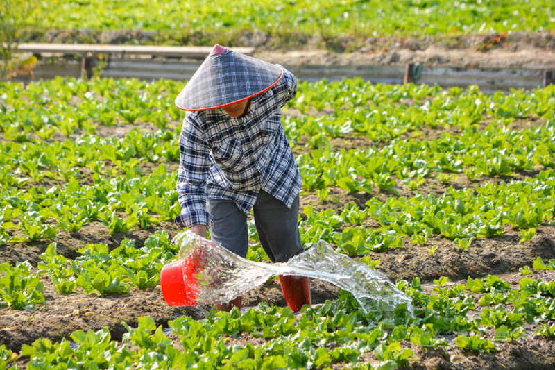 Water Management