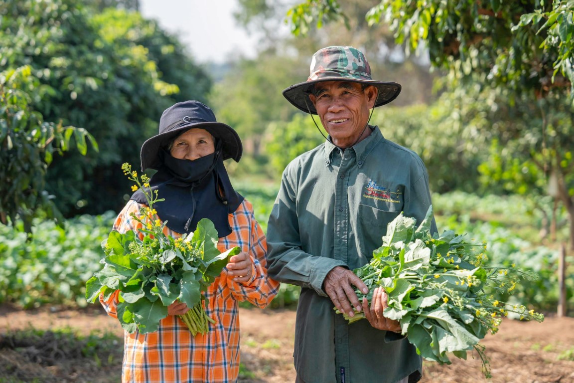 Gender-Inclusive Strategies for Improving Agricultural Productivity