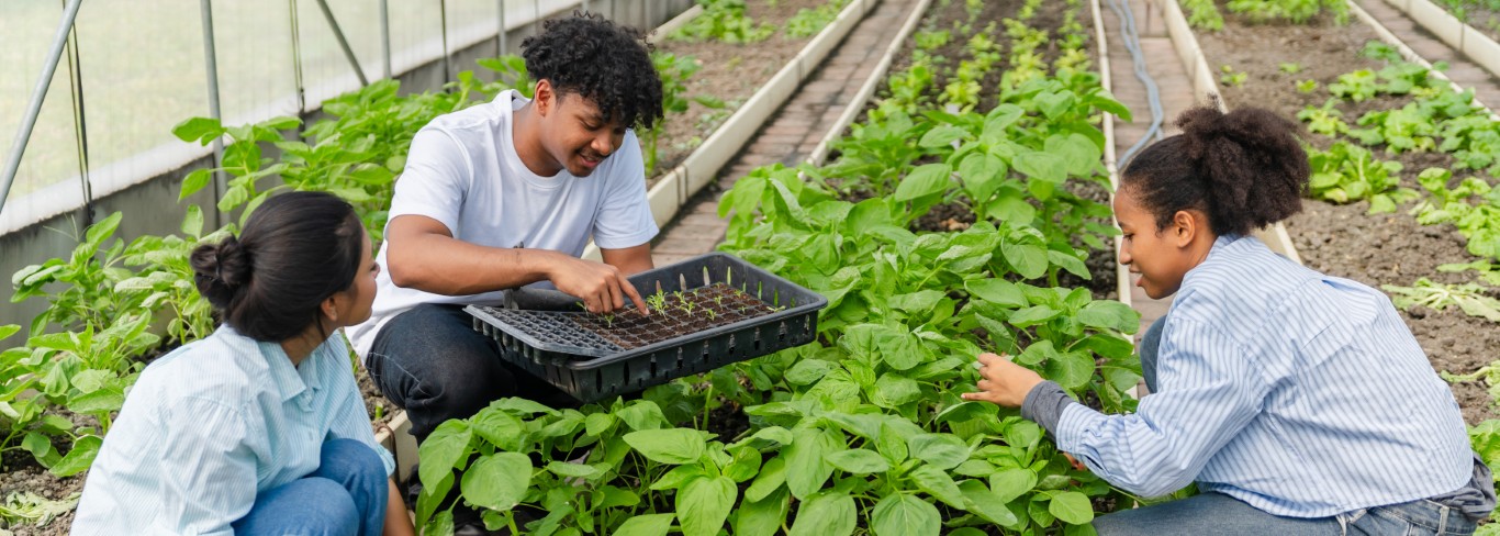 Gender and Youth in Agriculture