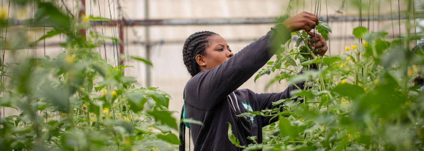 Crop Management Practices