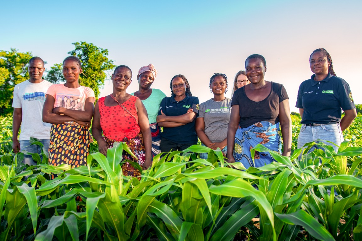 Farmers in a maize field