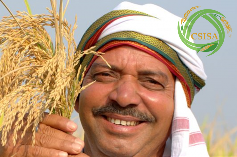 Image of smiling man holding cereal crop, with CSISA logo